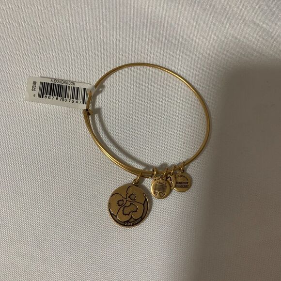 NEW Alex and Ani Because I Love You Stepmom Charm Bangle Gold Bracelet tag - Picture 4 of 4
